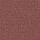 Masland Carpets: Distinctive Cinnamon